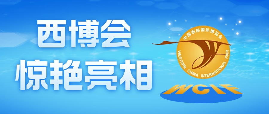 闪耀西博会！「德讯未来」惊艳亮相